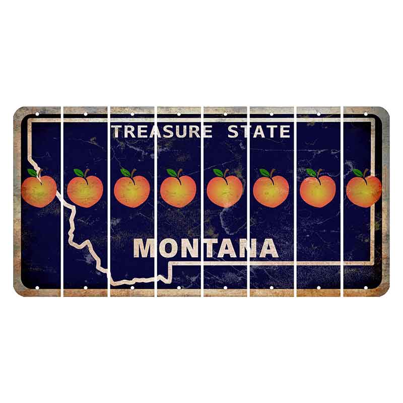 Montana Blue Treasure State Cut License Plate Strips (Set of 8) Peach