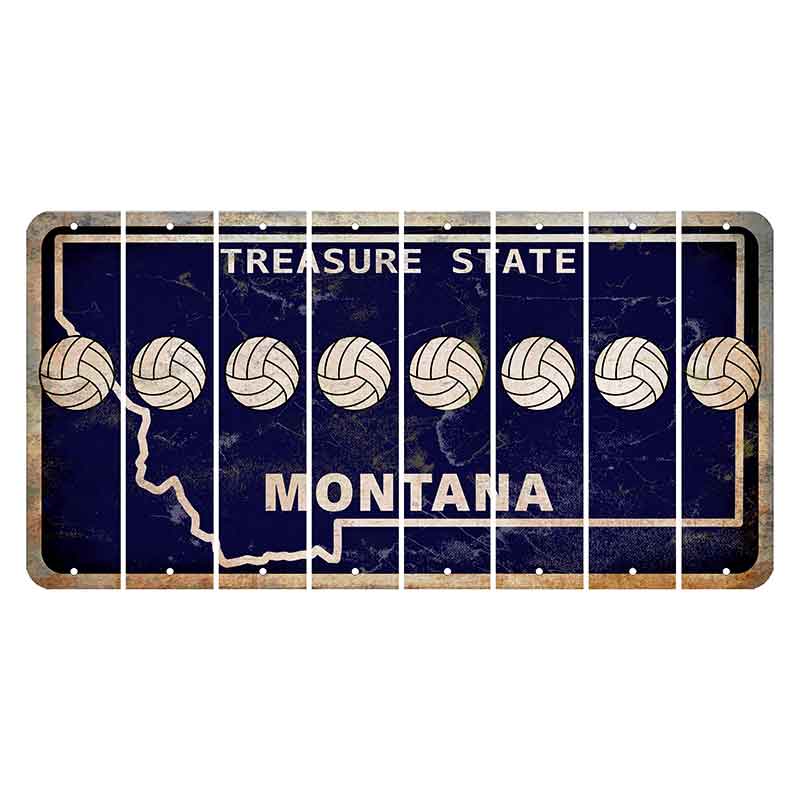 Montana Blue Treasure State Cut License Plate Strips (Set of 8) Volleyball