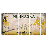 Nebraska.gov Cut License Plate Strips (Set of 8) Blank