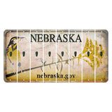 Nebraska.gov Cut License Plate Strips (Set of 8) Apostrophe