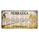 Nebraska.gov Cut License Plate Strips (Set of 8) Volleyball