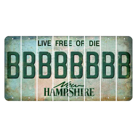 New Hampshire Cannon Mountain Cut License Plate Strips (Set of 8) B