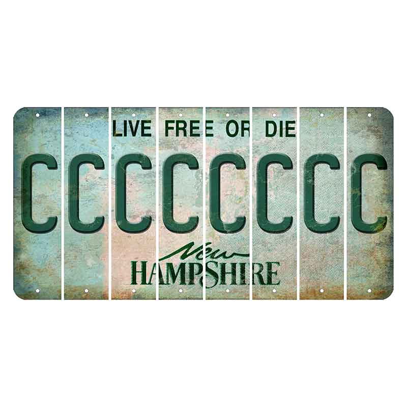 New Hampshire Cannon Mountain Cut License Plate Strips (Set of 8) C