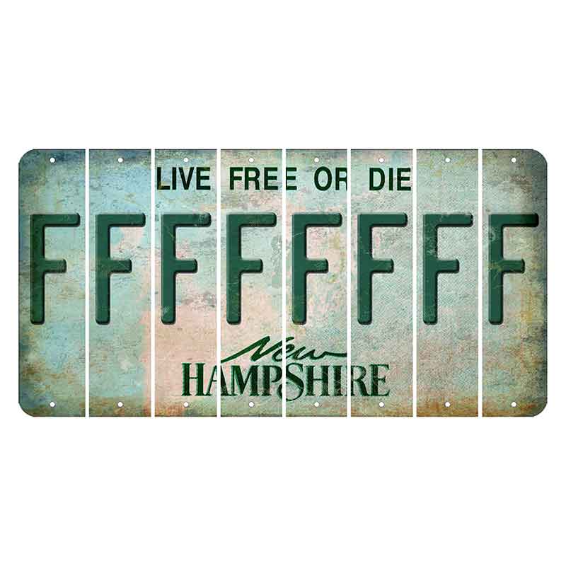 New Hampshire Cannon Mountain Cut License Plate Strips (Set of 8) F