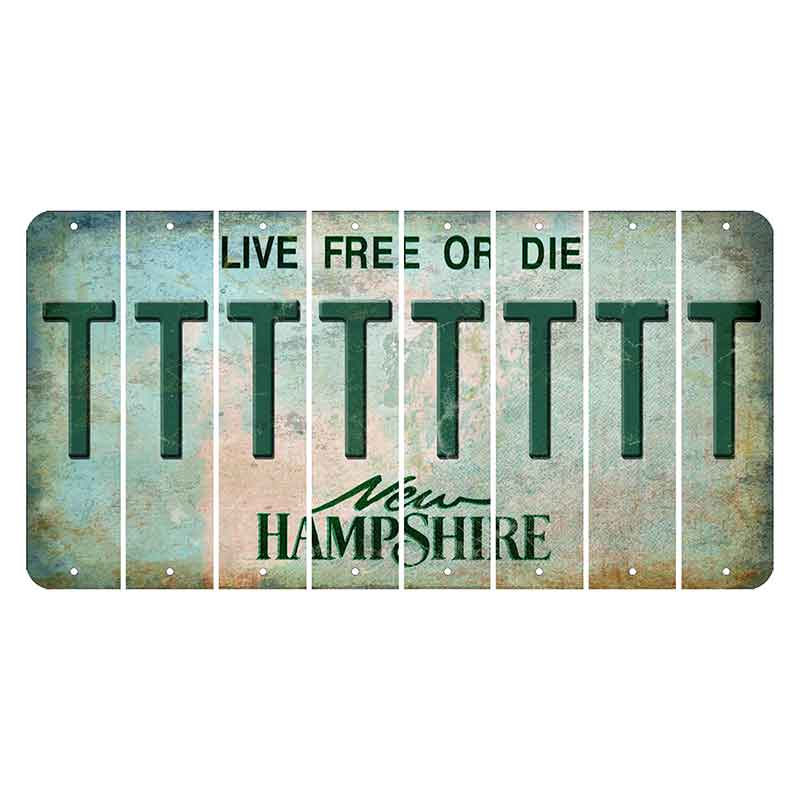 New Hampshire Cannon Mountain Cut License Plate Strips (Set of 8) T