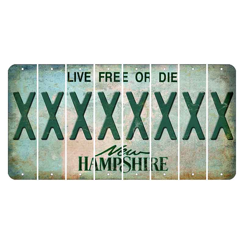 New Hampshire Cannon Mountain Cut License Plate Strips (Set of 8) X