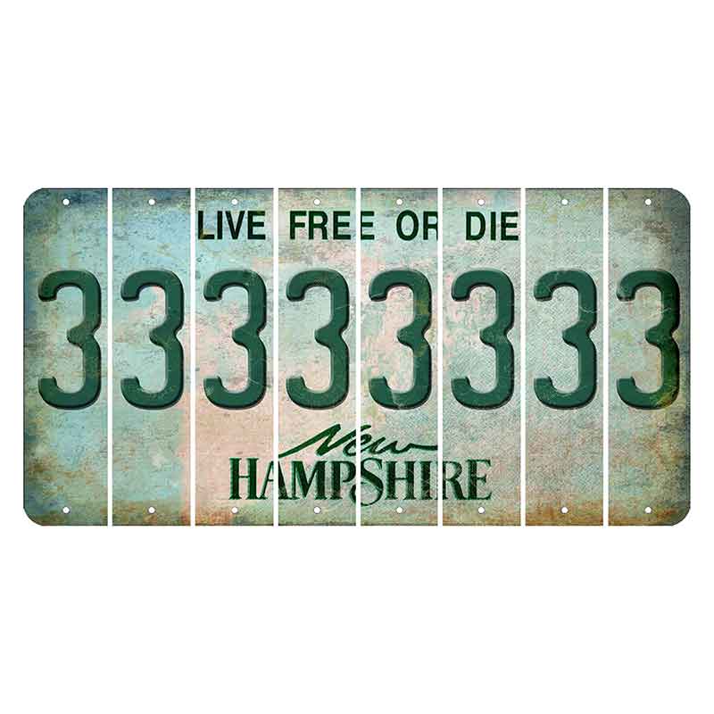 New Hampshire Cannon Mountain Cut License Plate Strips (Set of 8) 3