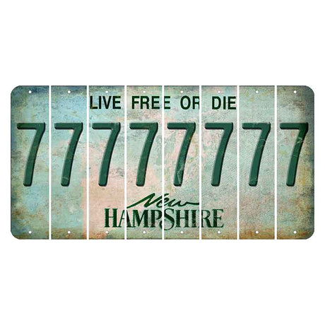 New Hampshire Cannon Mountain Cut License Plate Strips (Set of 8) 7