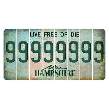 New Hampshire Cannon Mountain Cut License Plate Strips (Set of 8) 9