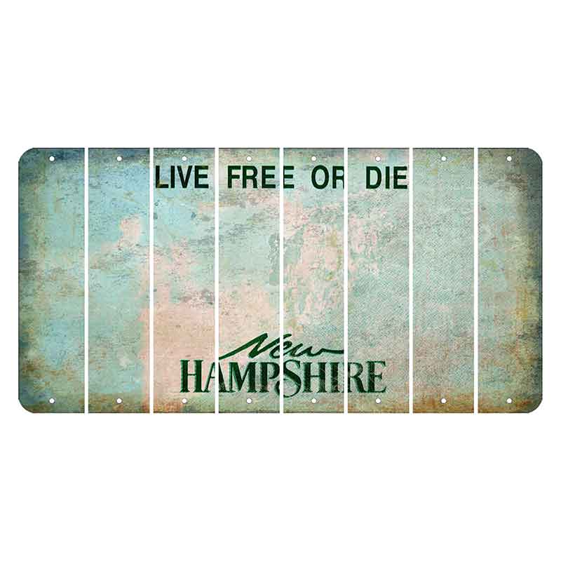 New Hampshire Cannon Mountain Cut License Plate Strips (Set of 8) Blank