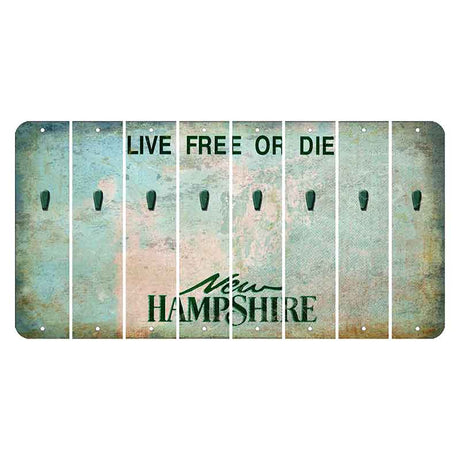 New Hampshire Cannon Mountain Cut License Plate Strips (Set of 8) Apostrophe