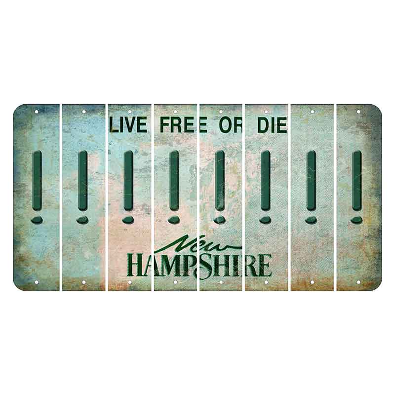 New Hampshire Cannon Mountain Cut License Plate Strips (Set of 8) Exclamation Point