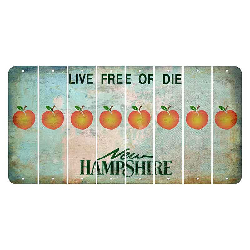 New Hampshire Cannon Mountain Cut License Plate Strips (Set of 8) Peach