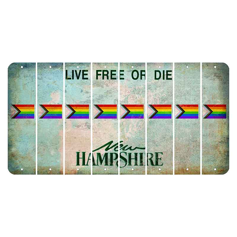 New Hampshire Cannon Mountain Cut License Plate Strips (Set of 8) LGBTQ Flag