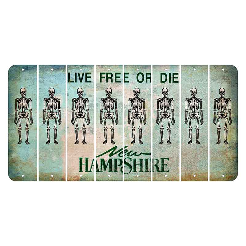 New Hampshire Cannon Mountain Cut License Plate Strips (Set of 8) Skeleton