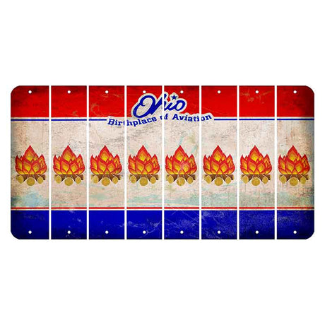 Ohio Sunburst Cut License Plate Strips (Set of 8) Campfire