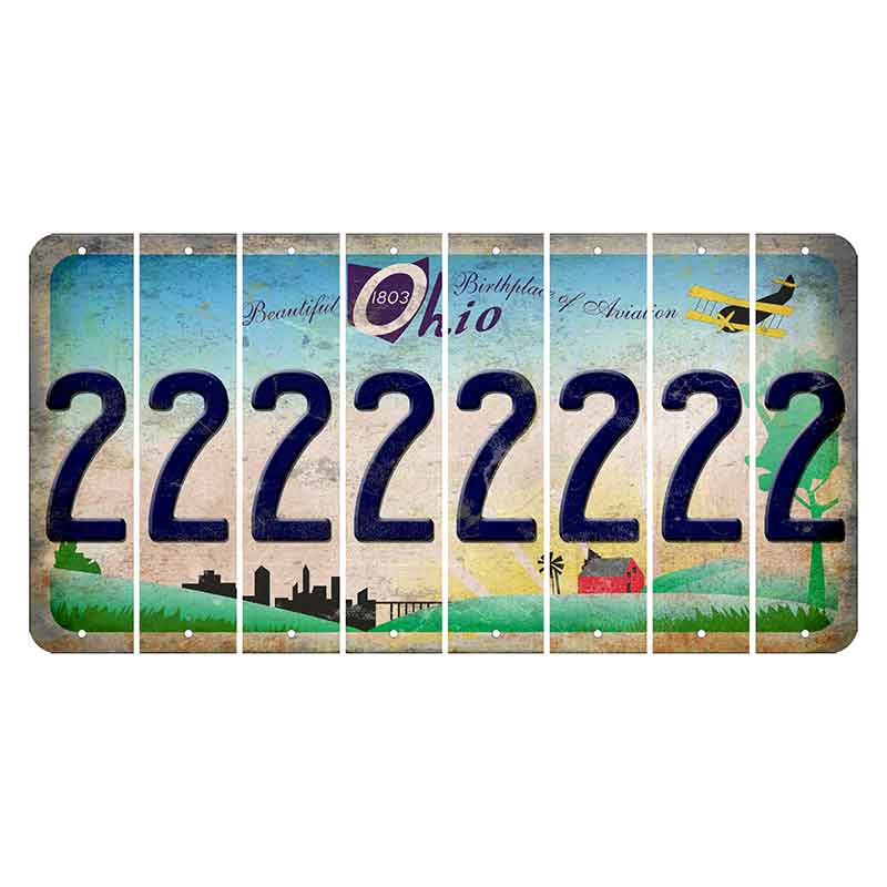 Beautiful Ohio Cut License Plate Strips (Set of 8) 2