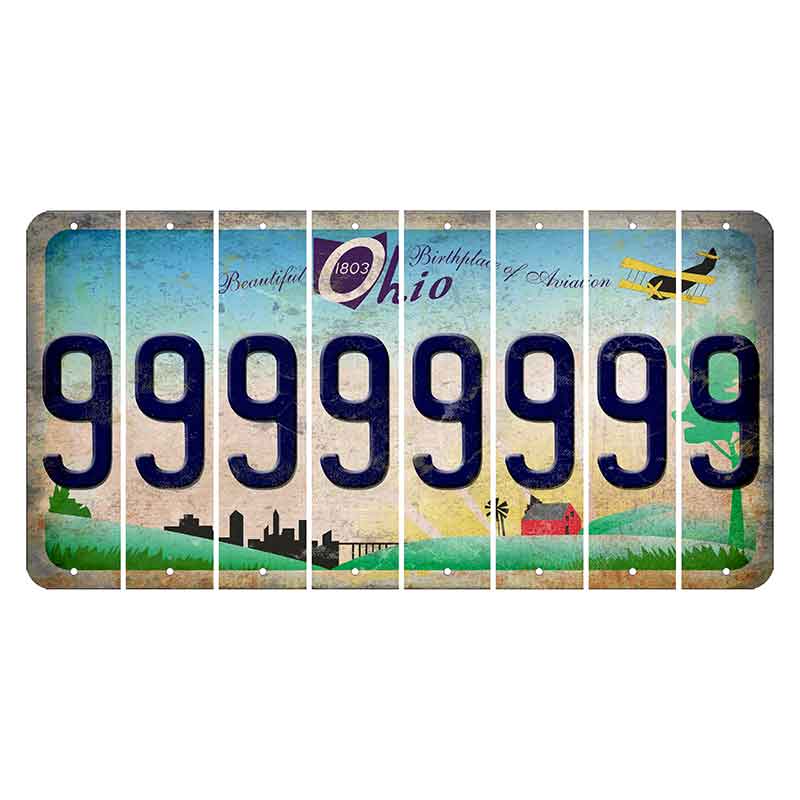 Beautiful Ohio Cut License Plate Strips (Set of 8) 9