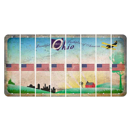 Beautiful Ohio Cut License Plate Strips (Set of 8) American Flag