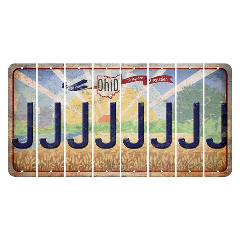 Sunrise in Ohio Cut License Plate Strips (Set of 8) J