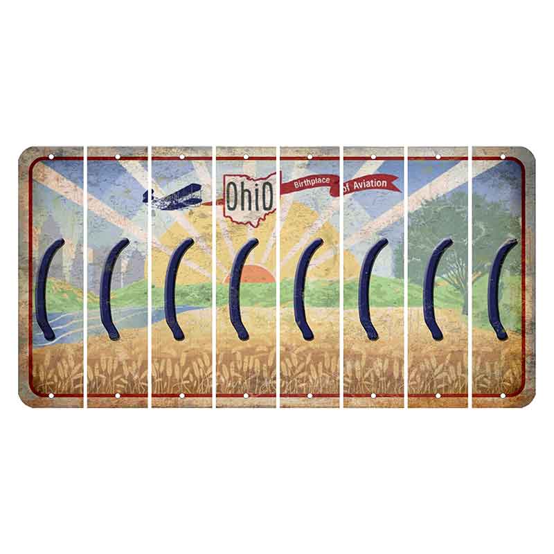 Sunrise in Ohio Cut License Plate Strips (Set of 8) Parenthesis - Left