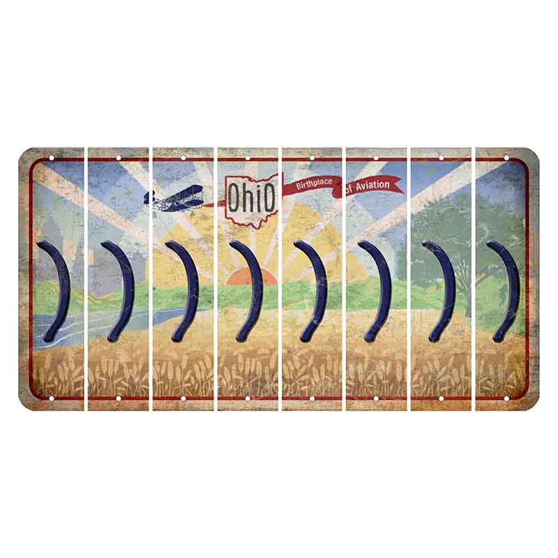 Sunrise in Ohio Cut License Plate Strips (Set of 8) Parenthesis - Right