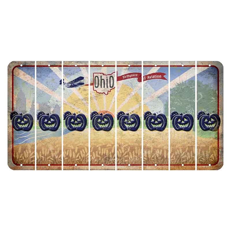 Sunrise in Ohio Cut License Plate Strips (Set of 8) Pumpkin