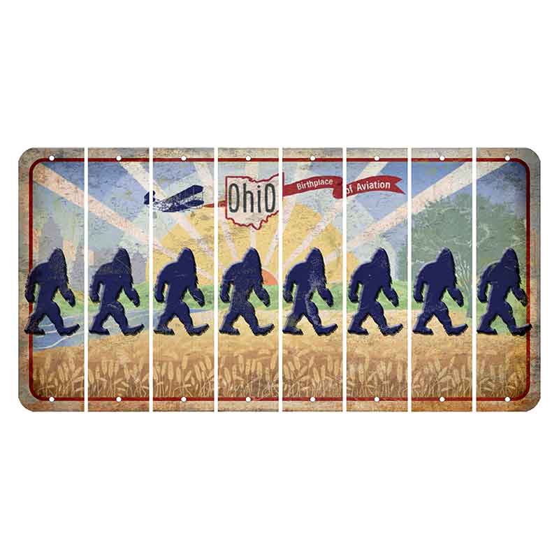 Sunrise in Ohio Cut License Plate Strips (Set of 8) Bigfoot