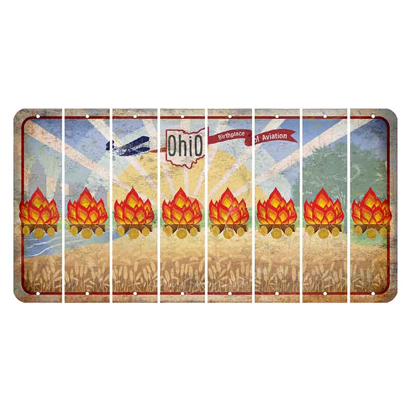 Sunrise in Ohio Cut License Plate Strips (Set of 8) Campfire