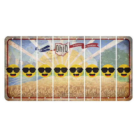 Sunrise in Ohio Cut License Plate Strips (Set of 8) Emoji - Shades