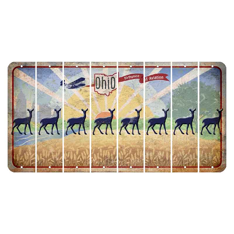 Sunrise in Ohio Cut License Plate Strips (Set of 8) Doe