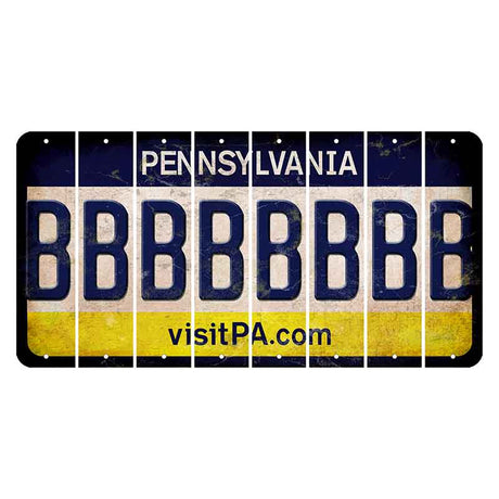 Pennsylvania vistiPA Cut License Plate Strips (Set of 8) B