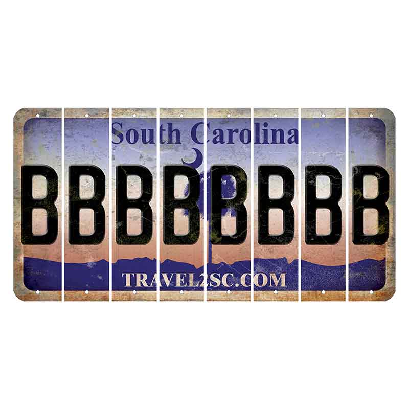 South Carolina Travel2SC Cut License Plate Strips (Set of 8) B