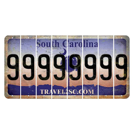 South Carolina Travel2SC Cut License Plate Strips (Set of 8) 9