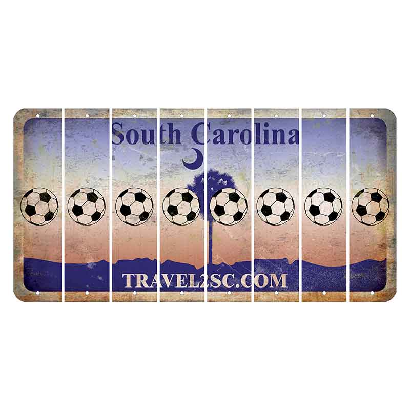 South Carolina Travel2SC Cut License Plate Strips (Set of 8) Soccerball