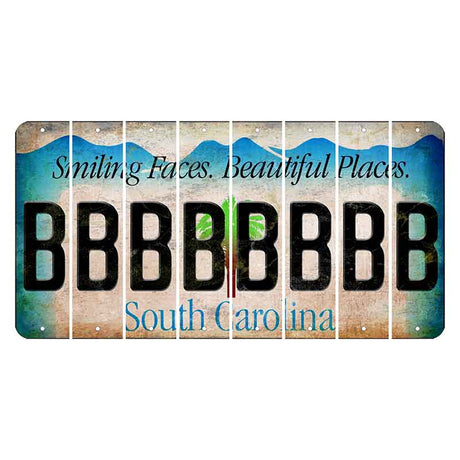 South Carolina Smiling Faces Cut License Plate Strips (Set of 8) B