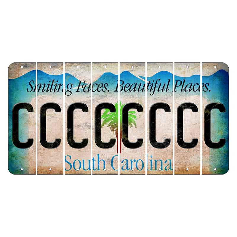 South Carolina Smiling Faces Cut License Plate Strips (Set of 8) C