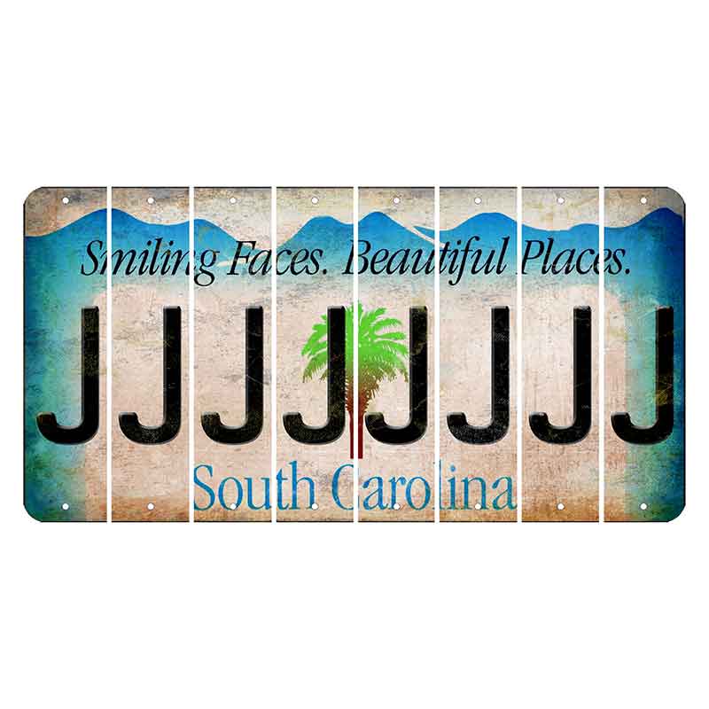 South Carolina Smiling Faces Cut License Plate Strips (Set of 8) J