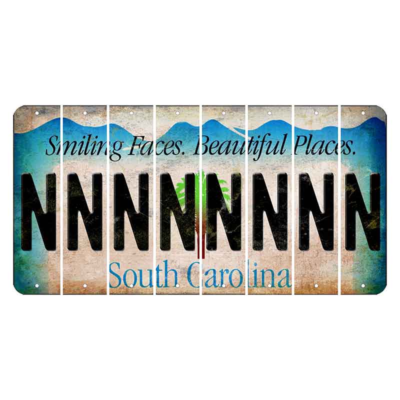 South Carolina Smiling Faces Cut License Plate Strips (Set of 8) N