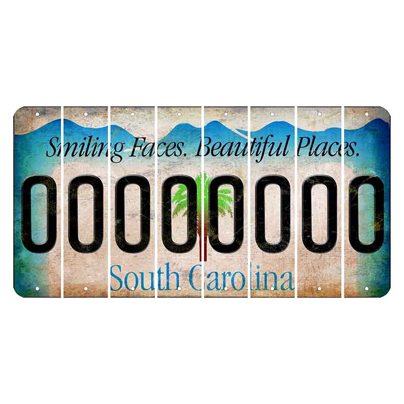 South Carolina Smiling Faces Cut License Plate Strips (Set of 8) O