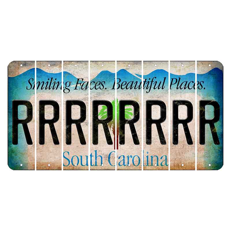 South Carolina Smiling Faces Cut License Plate Strips (Set of 8) R