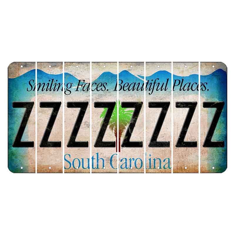 South Carolina Smiling Faces Cut License Plate Strips (Set of 8) Z