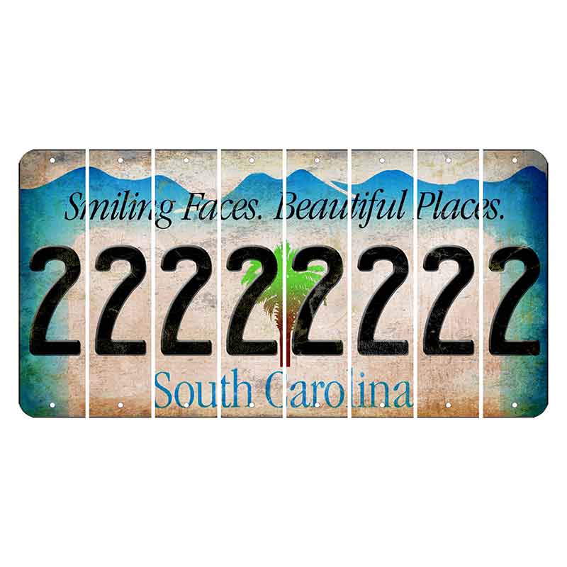 South Carolina Smiling Faces Cut License Plate Strips (Set of 8) 2