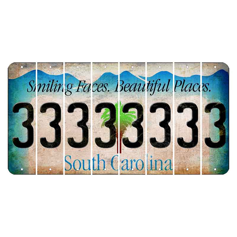 South Carolina Smiling Faces Cut License Plate Strips (Set of 8) 3