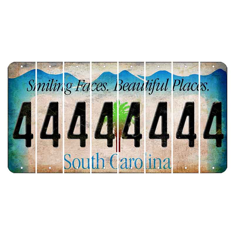 South Carolina Smiling Faces Cut License Plate Strips (Set of 8) 4