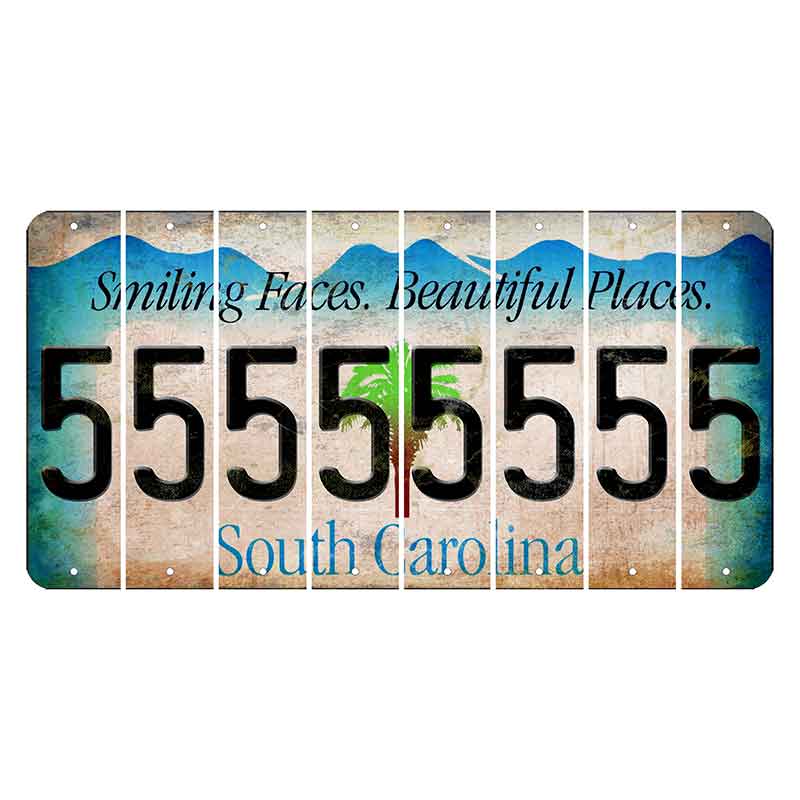 South Carolina Smiling Faces Cut License Plate Strips (Set of 8) 5