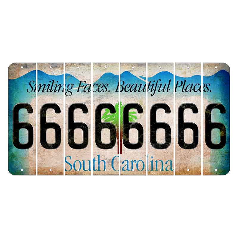 South Carolina Smiling Faces Cut License Plate Strips (Set of 8) 6