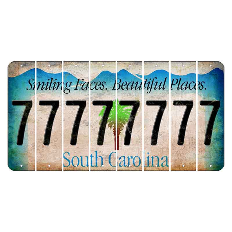 South Carolina Smiling Faces Cut License Plate Strips (Set of 8) 7