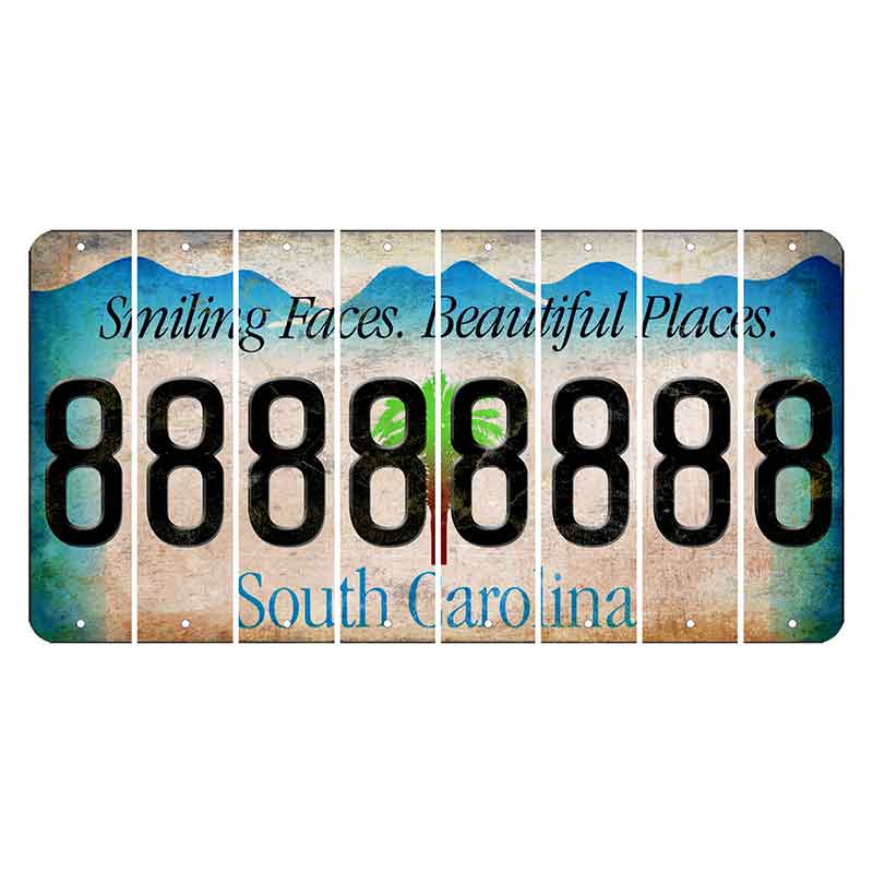 South Carolina Smiling Faces Cut License Plate Strips (Set of 8) 8