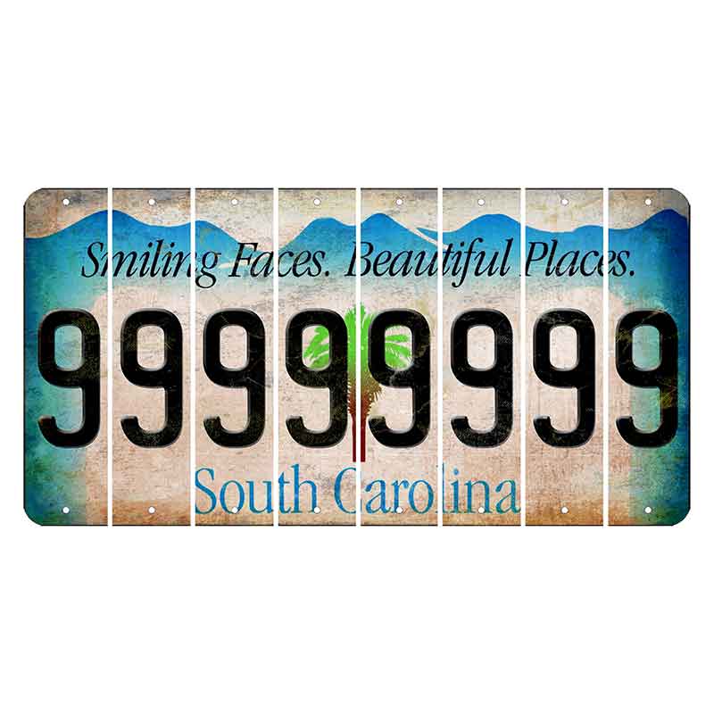 South Carolina Smiling Faces Cut License Plate Strips (Set of 8) 9